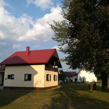 Donji Babin Potok Villa Natali מראה חיצוני תמונה