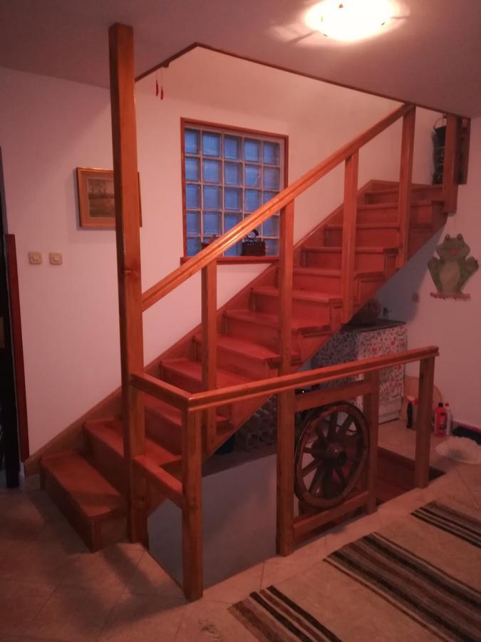 Donji Babin Potok Villa Natali מראה חיצוני תמונה
