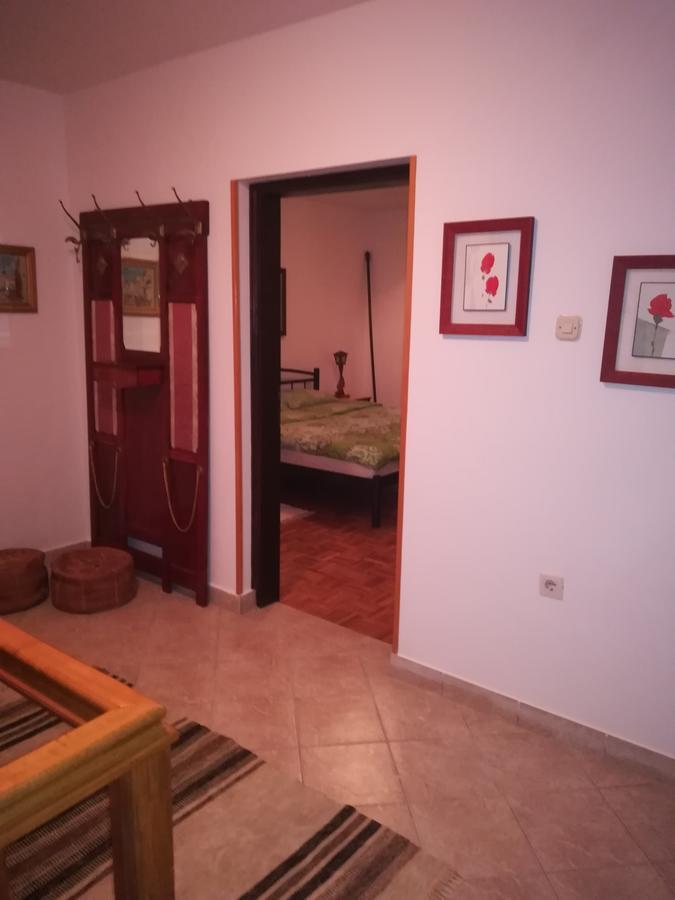 Donji Babin Potok Villa Natali מראה חיצוני תמונה