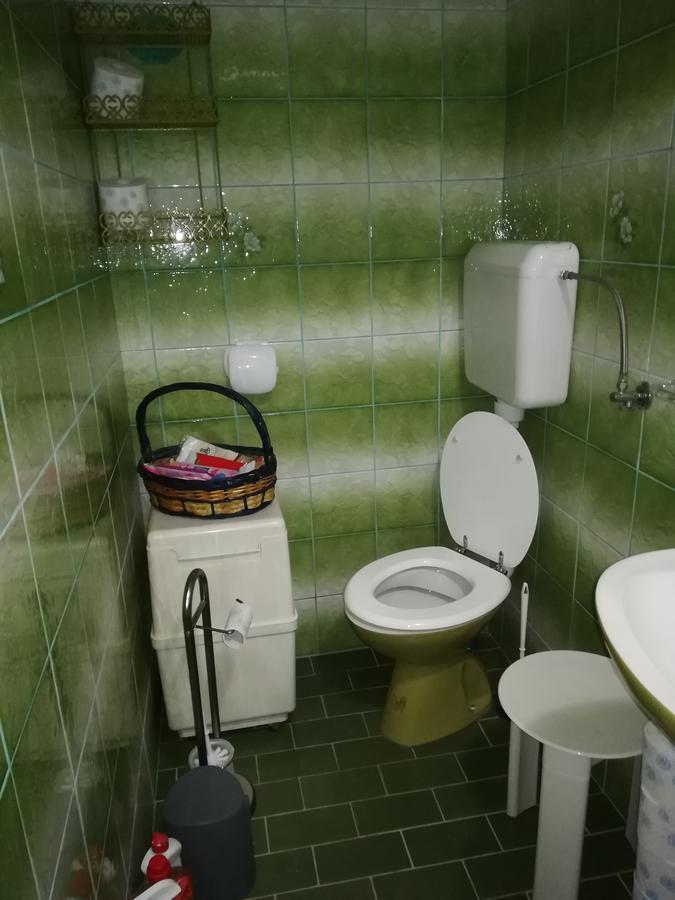 Donji Babin Potok Villa Natali מראה חיצוני תמונה