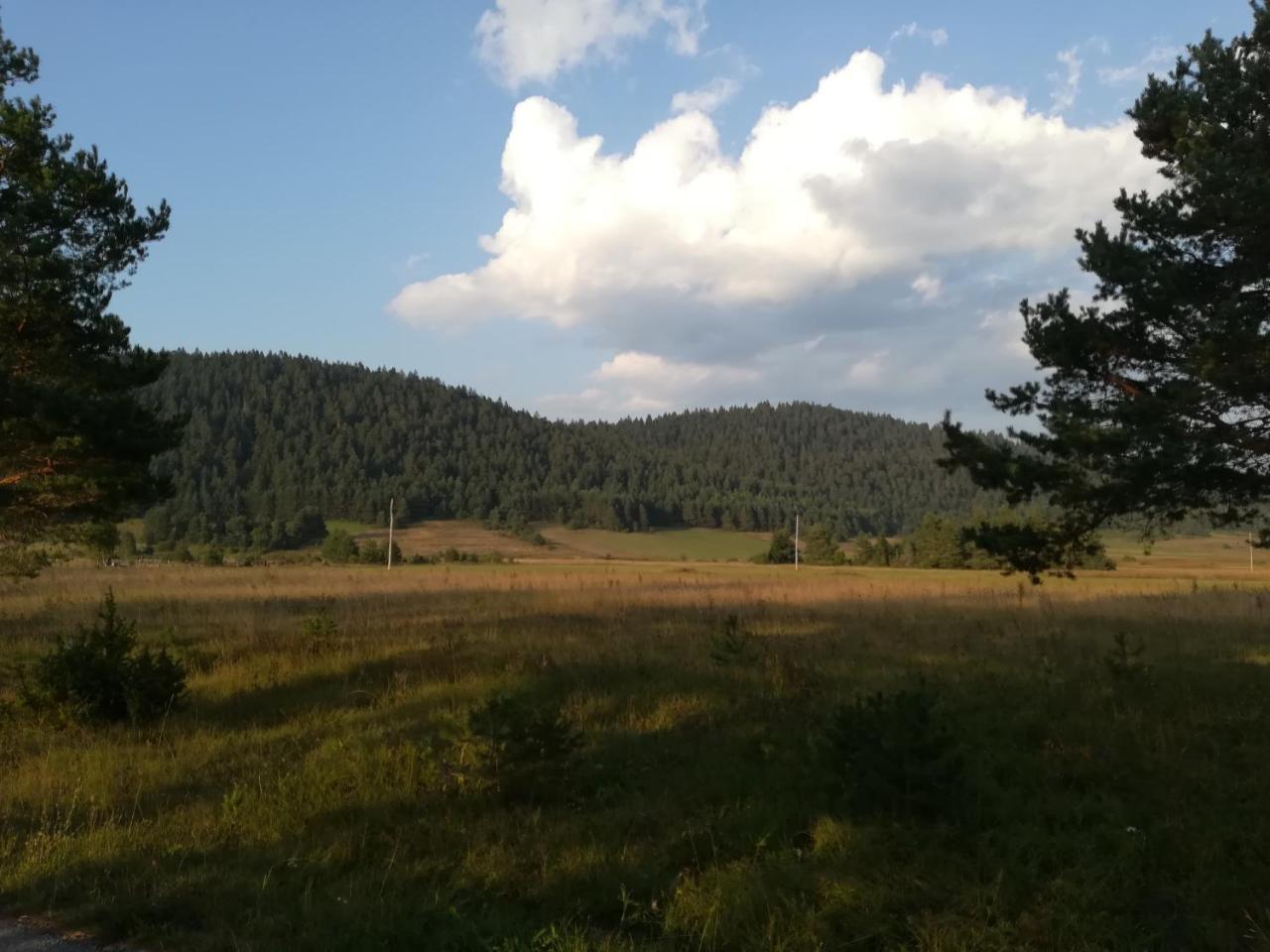 Donji Babin Potok Villa Natali מראה חיצוני תמונה